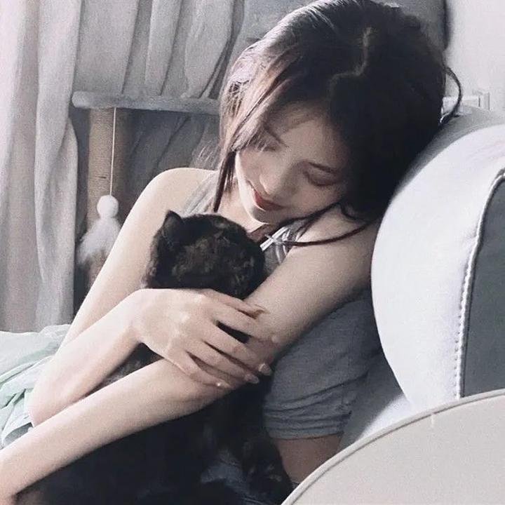 棚车少年:奇异岛 在线观看